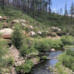 Berkeley Tuolumne Camp