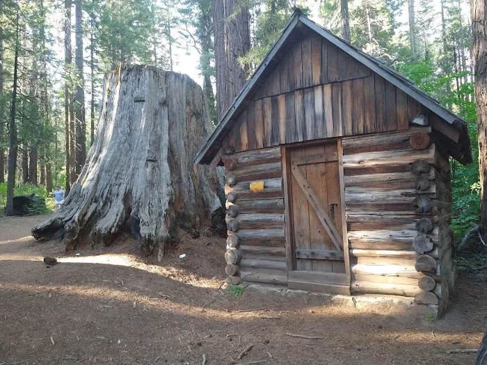 Nelder Grove 0