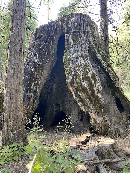 Nelder Grove 2