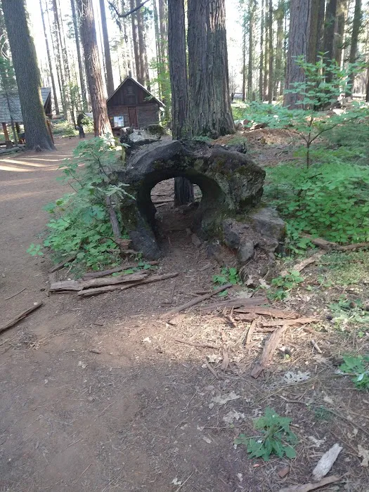 Nelder Grove 5
