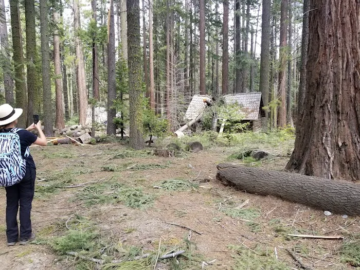 Nelder Grove 4