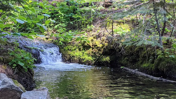 Nelder Grove 8
