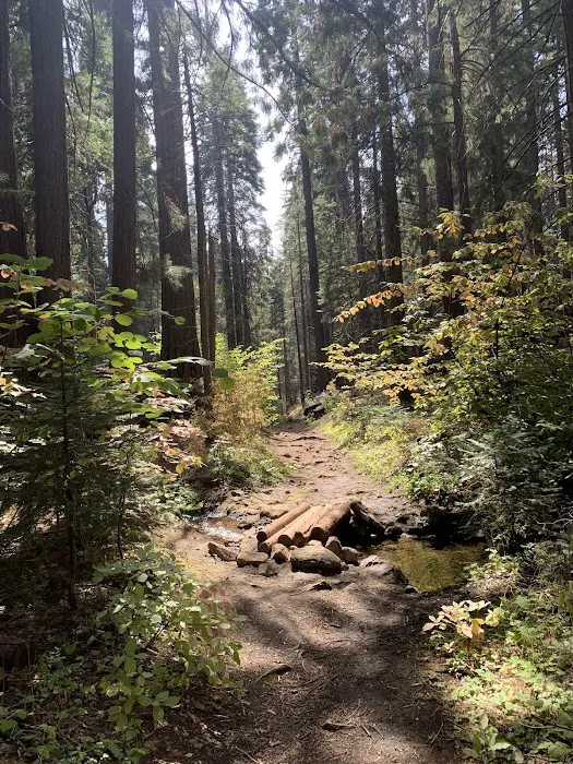 Nelder Grove 7