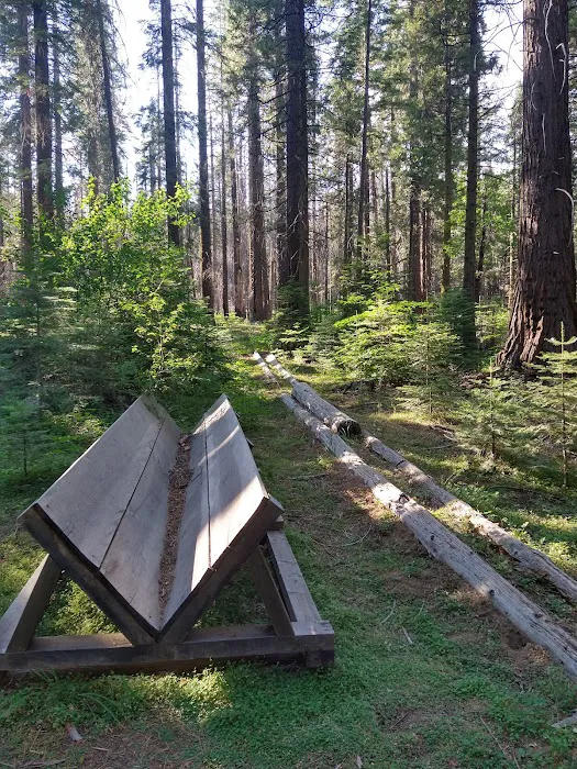 Nelder Grove 6