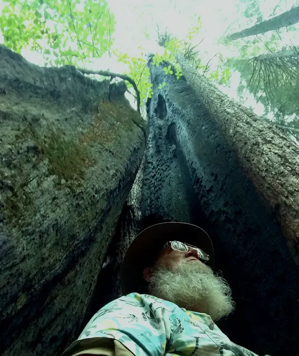 Nelder Grove 4