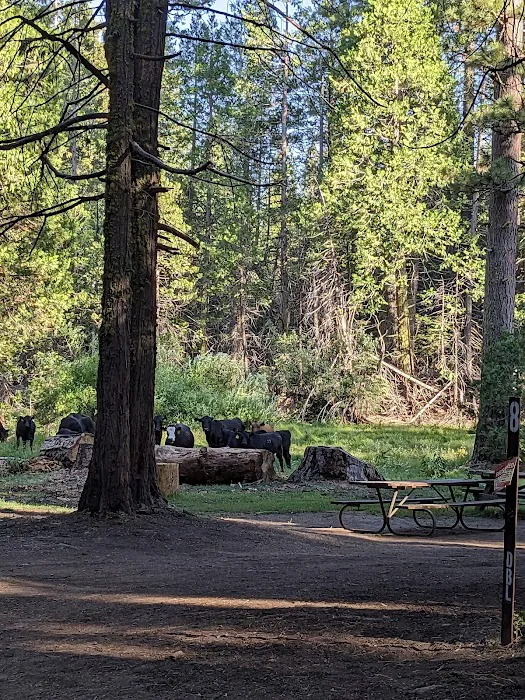 Kelty Meadow Campground 1