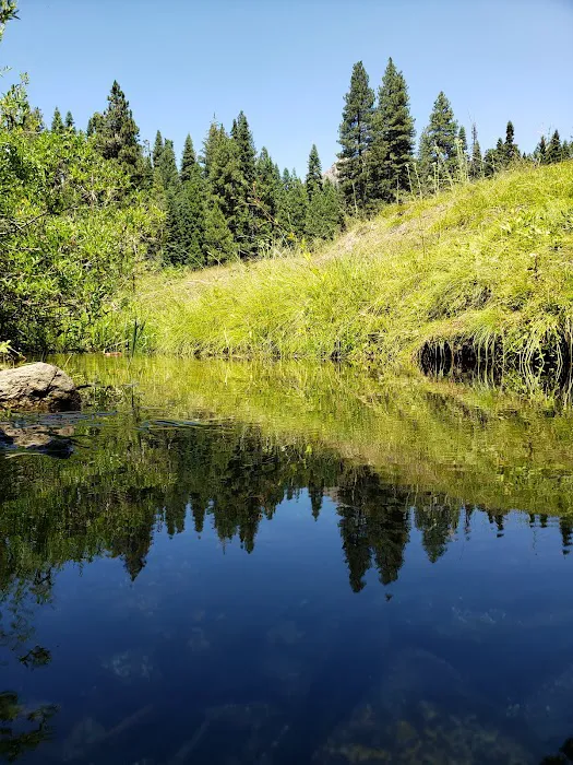 Kelty Meadow Campground 8