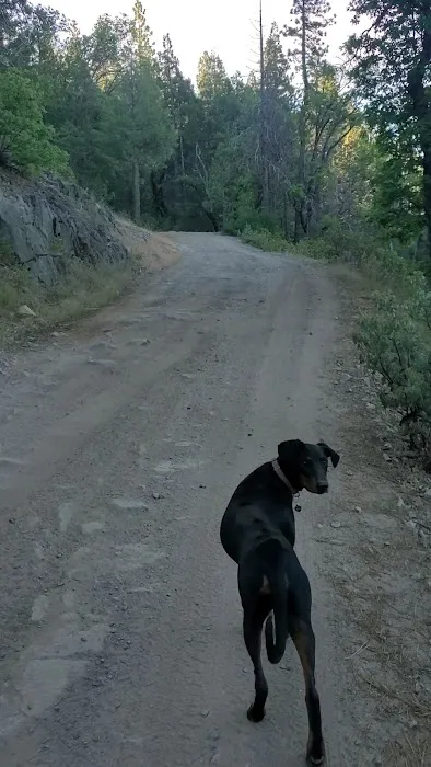 Texas Flat Group Campground 9