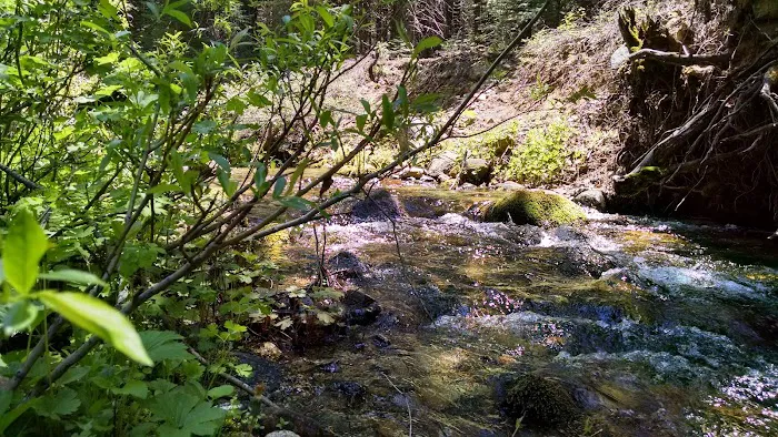 Texas Flat Group Campground 8