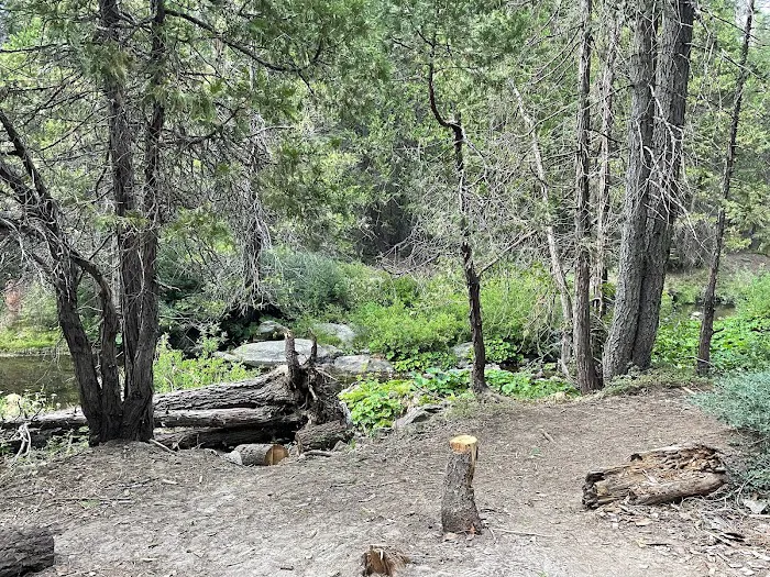 Texas Flat Group Campground 6