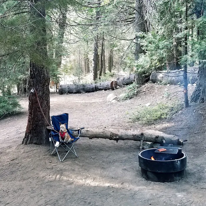Texas Flat Group Campground 7