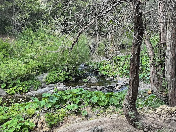 Texas Flat Group Campground 5