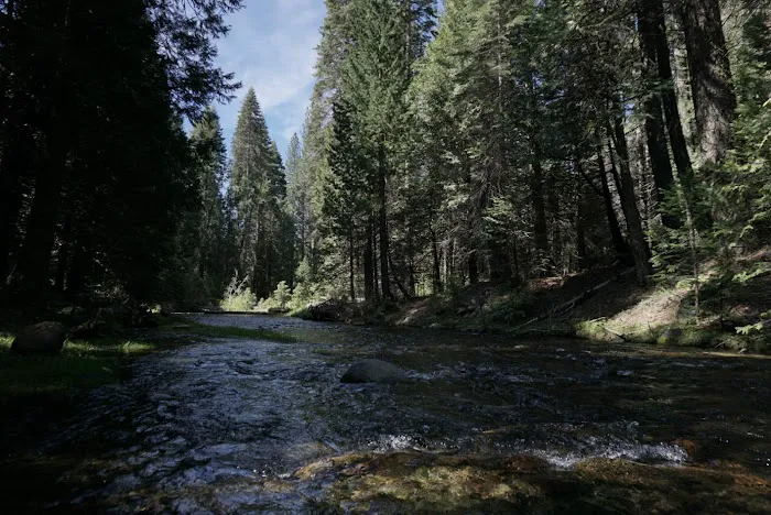 Texas Flat Group Campground 0