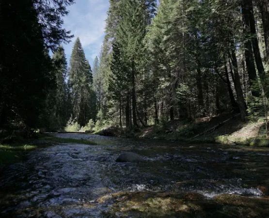 Texas Flat Group Campground