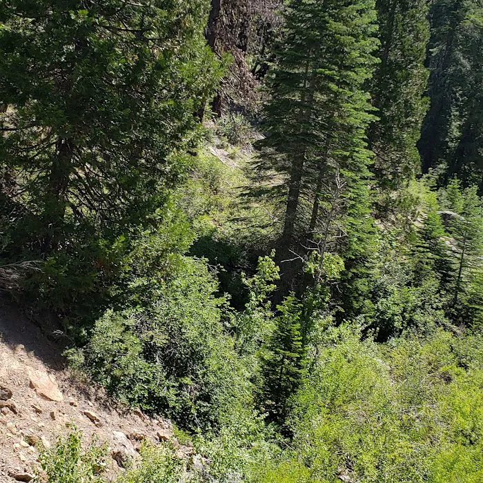 Hull Creek / Trout Creek OHV Area (recgovnpsdata) 9