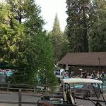 Lair of the Golden Bear - Camp Blue