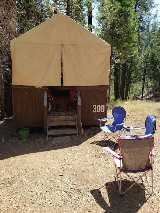 Lair of the Golden Bear - Camp Oski 4