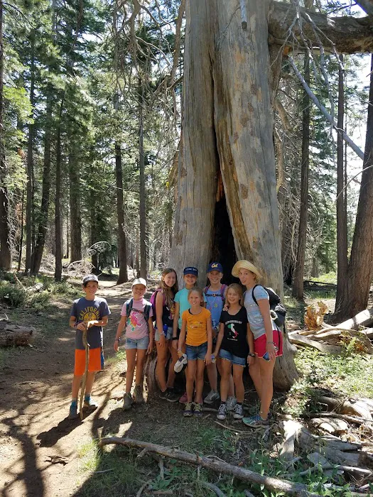 Lair of the Golden Bear - Camp Oski 6