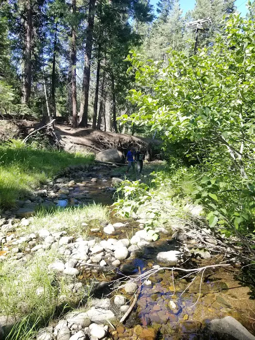 Lair of the Golden Bear - Camp Oski 2