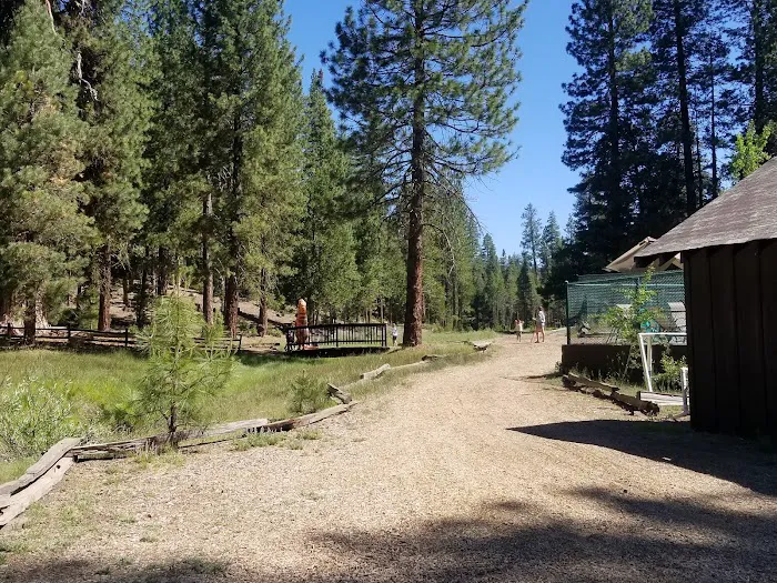 Lair of the Golden Bear - Camp Oski 0