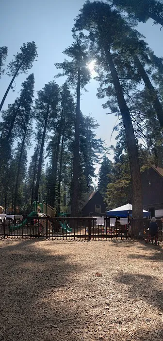 Lair of the Golden Bear - Camp Oski 9