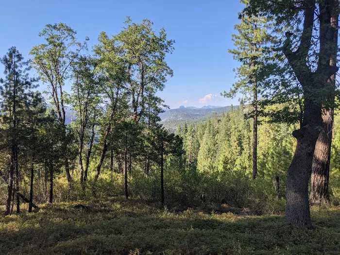 TeleLi puLaya (Black Oak) Campground 3