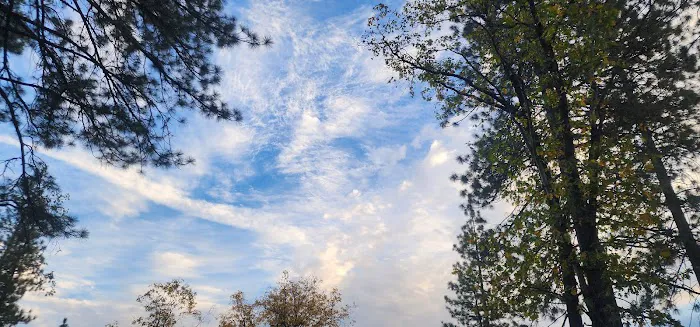 TeleLi puLaya (Black Oak) Campground 1