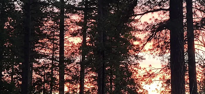 TeleLi puLaya (Black Oak) Campground 9