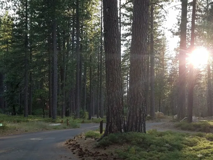 TeleLi puLaya (Black Oak) Campground 7