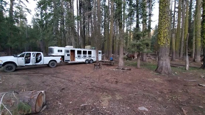 Kerrick Corral Horse Camp 2