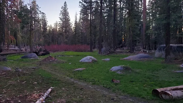 Kerrick Corral Horse Camp 1