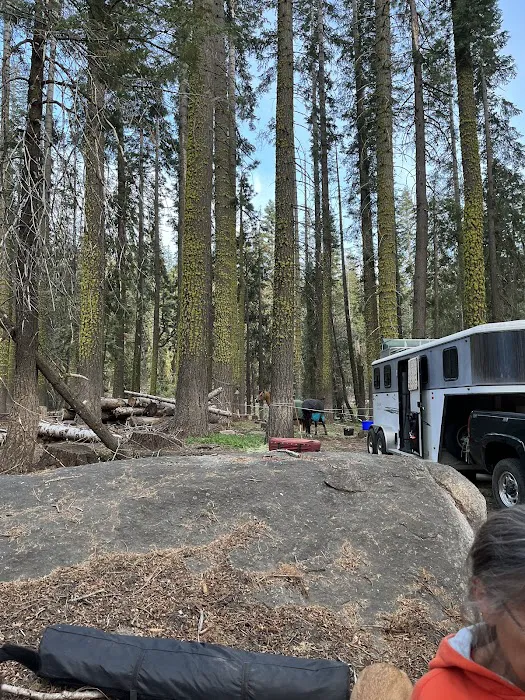 Kerrick Corral Horse Camp 3