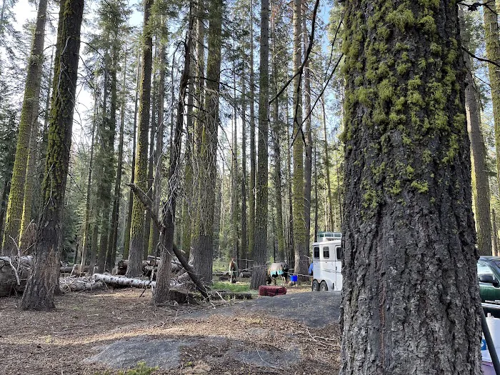 Kerrick Corral Horse Camp 4