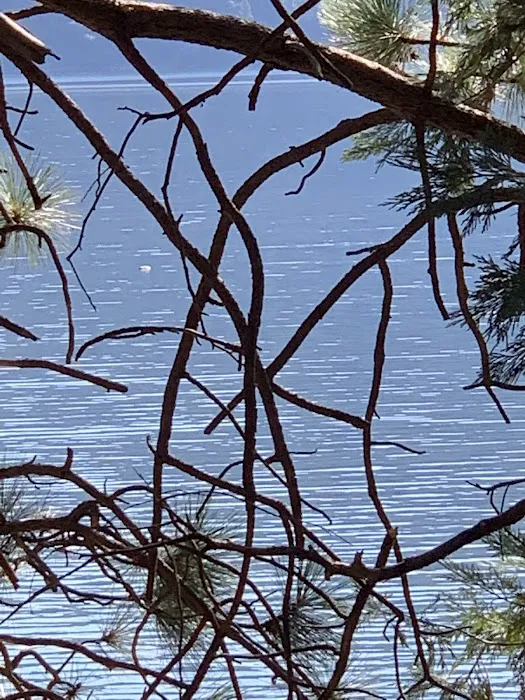 Beardsley Dam Campground 7