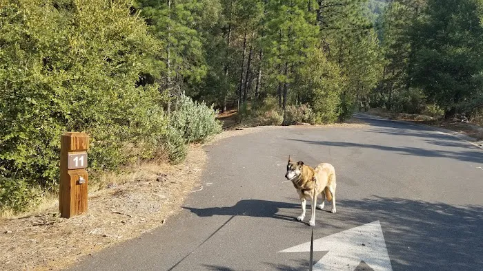 Beardsley Dam Campground 6