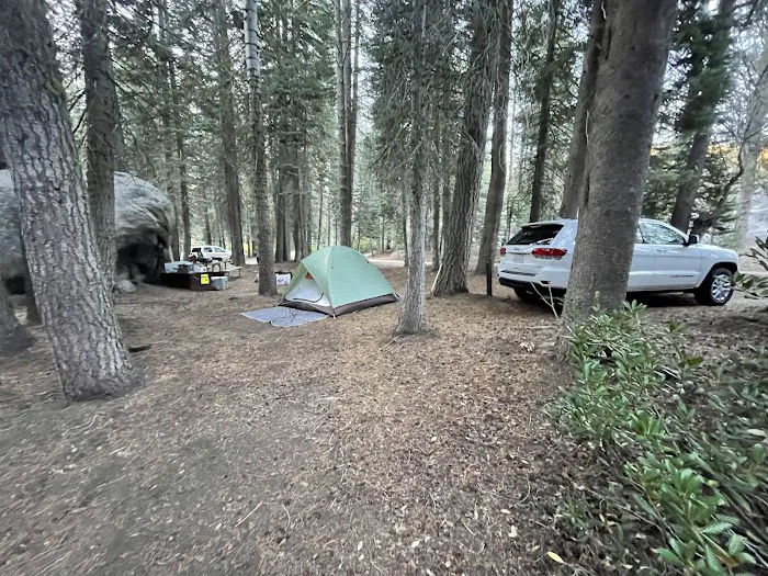Tamarack Flat Campground 4