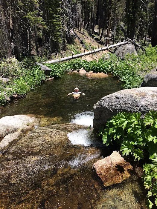 Tamarack Flat Campground 2