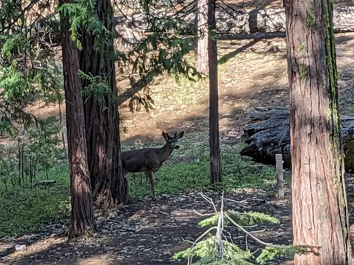 Hodgdon Meadow Campground 7