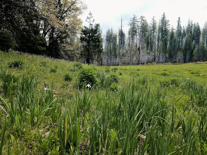 Hodgdon Meadow Campground 8