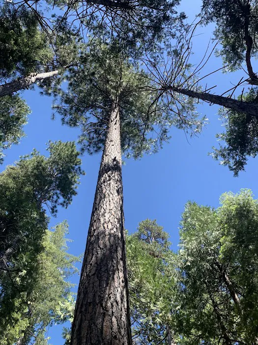 Hodgdon Meadow Campground 9