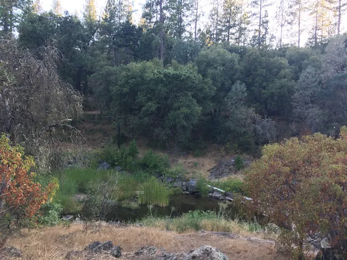PML Campground 7