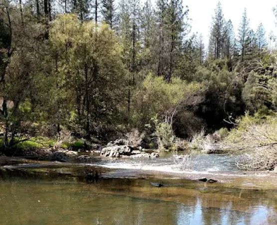PML Campground