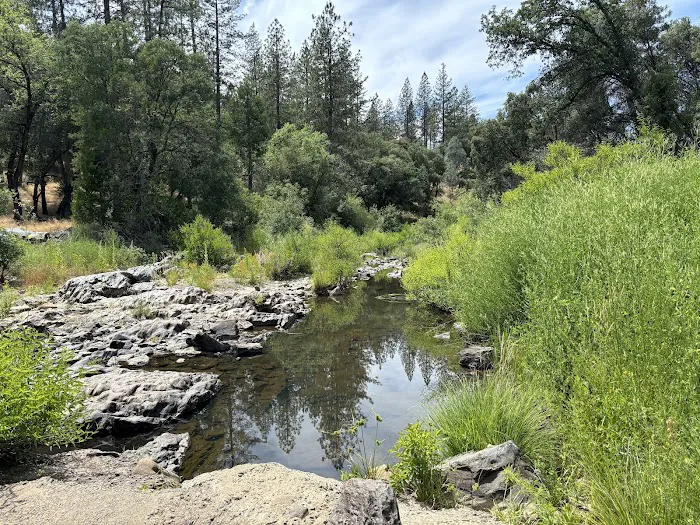 PML Campground 9