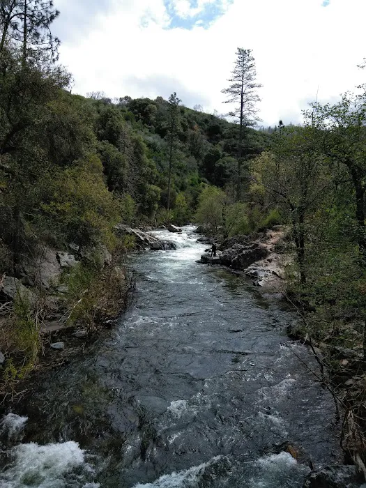Pines Campground 3