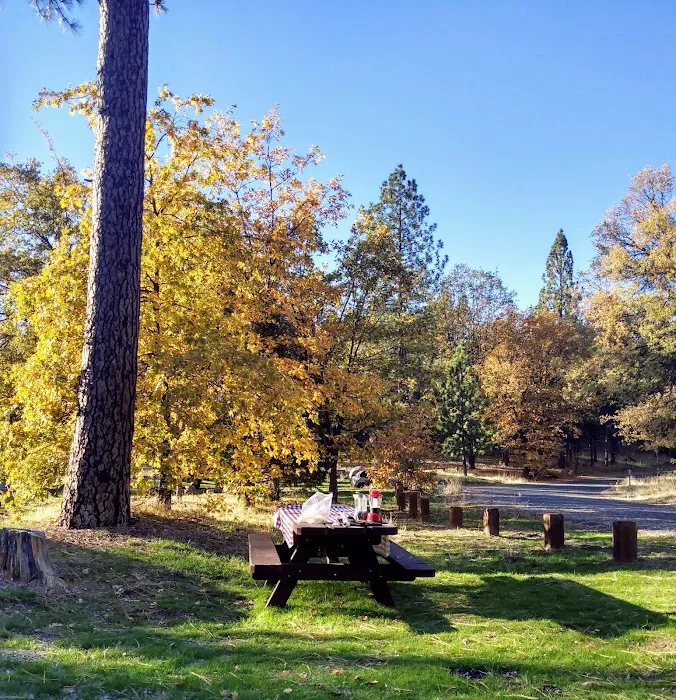Pines Campground 5