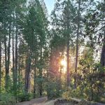 Lost Claim Campground