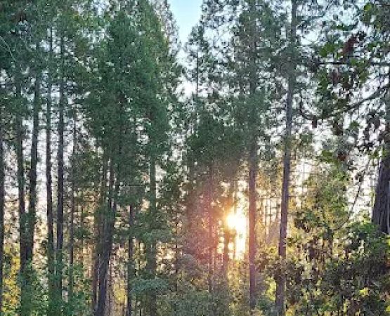 Lost Claim Campground