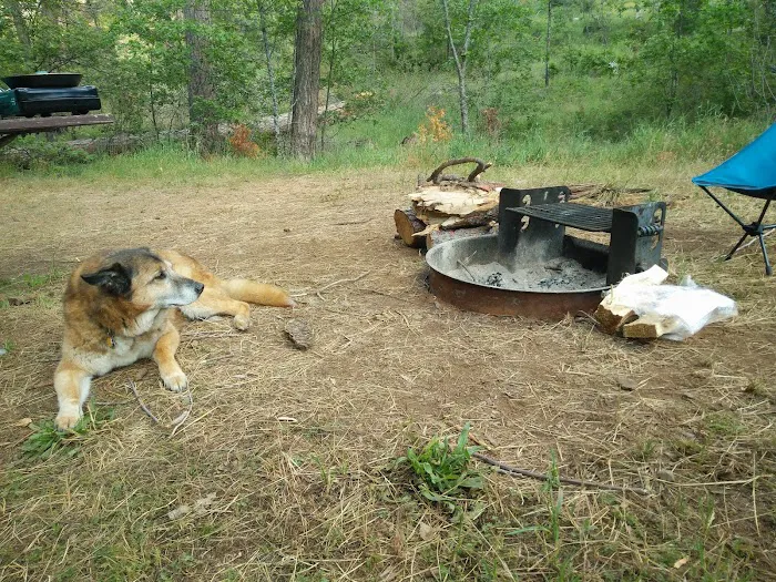 Lost Claim Campground 5