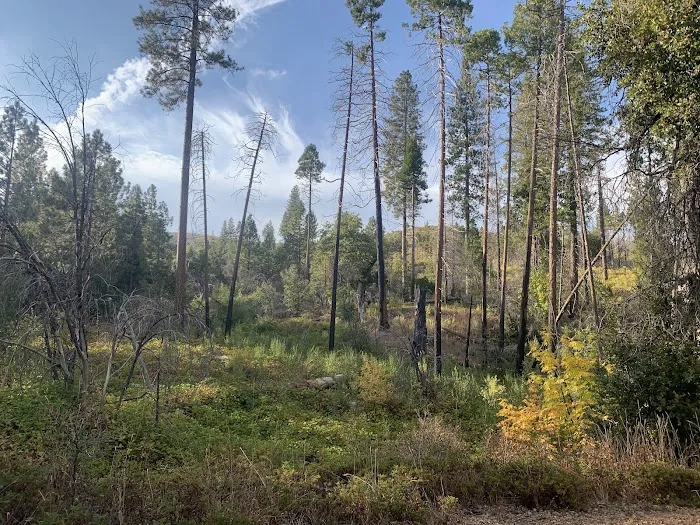 Lost Claim Campground 1