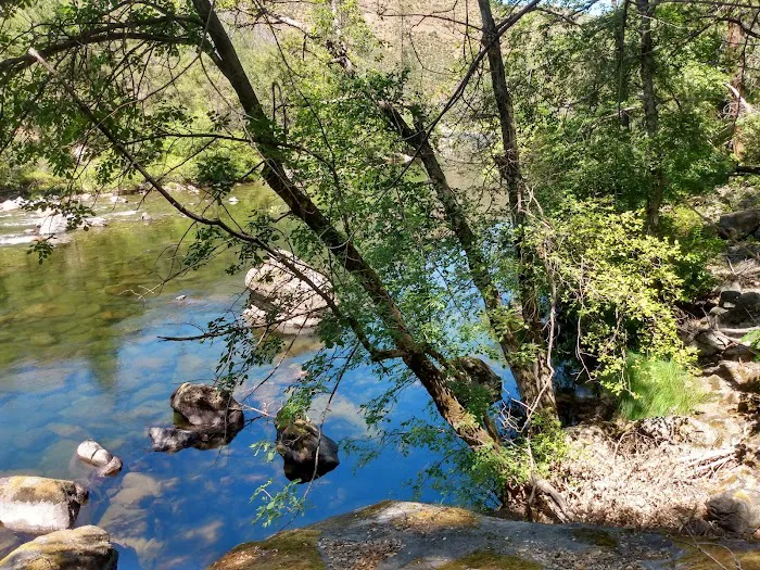 South Fork Campground 7